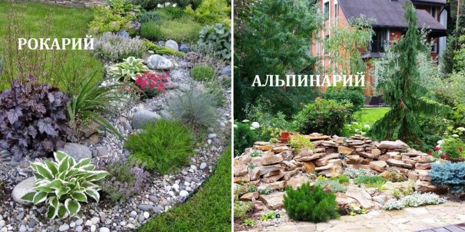 Цветники для участка