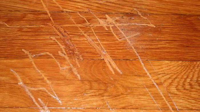 Ламинат требующий лакировки