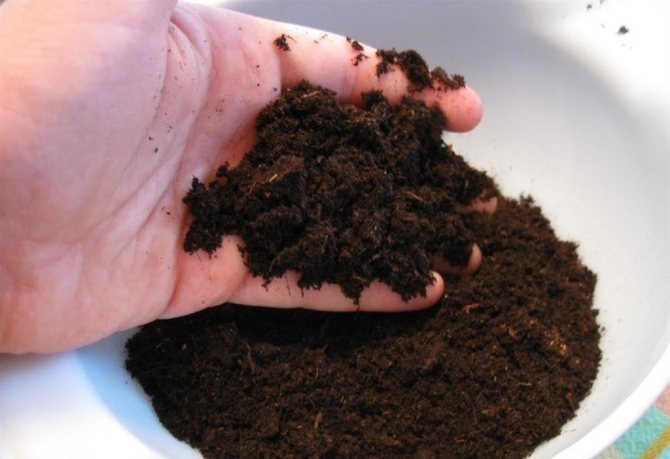 Моховой торф