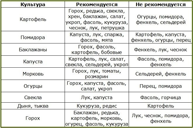 Правильное размещение овощных культур
