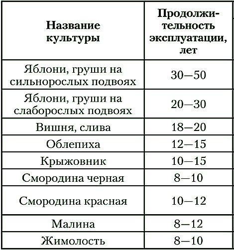 Продолжительность плодоношения плодовых деревьев