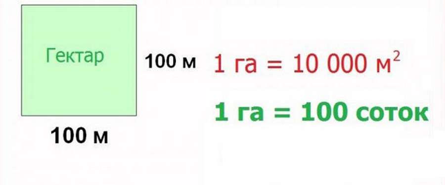 Сотка земли: сколько в метрах, как рассчитать площадь участка таблица