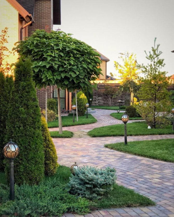 тропинки с газонами на даче