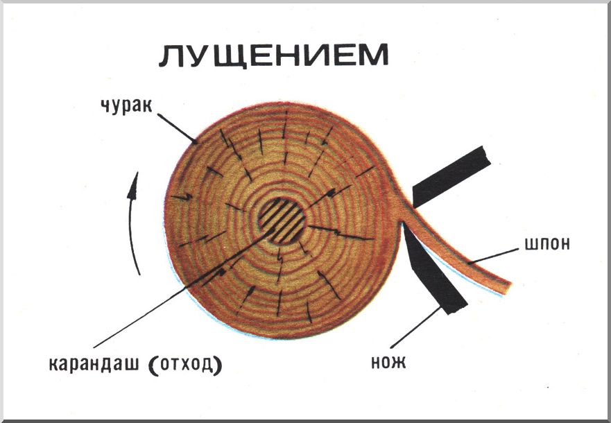 Схема лущения бревна