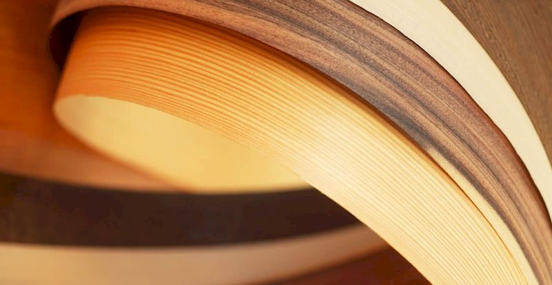 Тонкий срез дерева