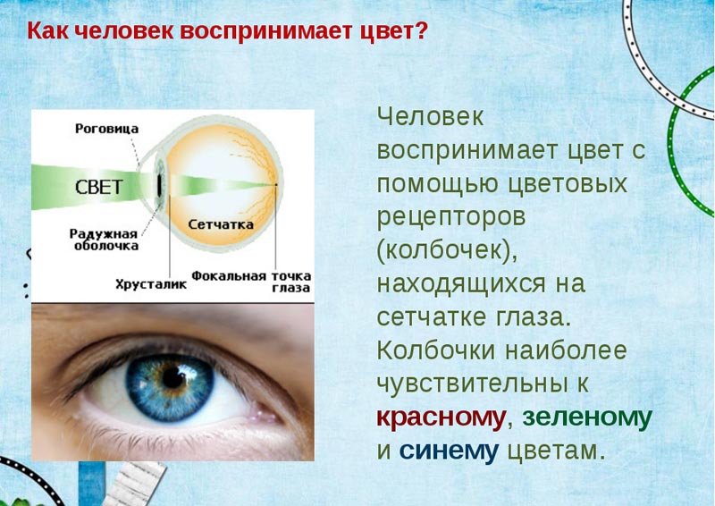 Восприятие цвета Восприятие цвета