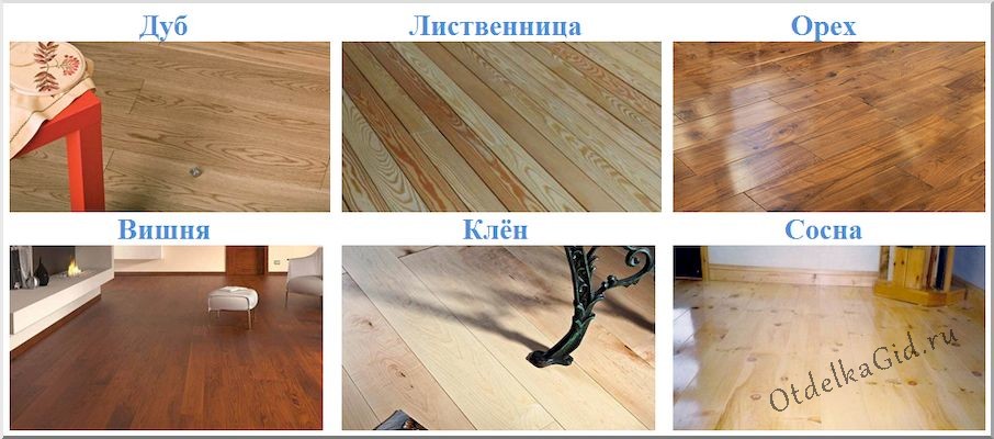 Выбор породы древесины