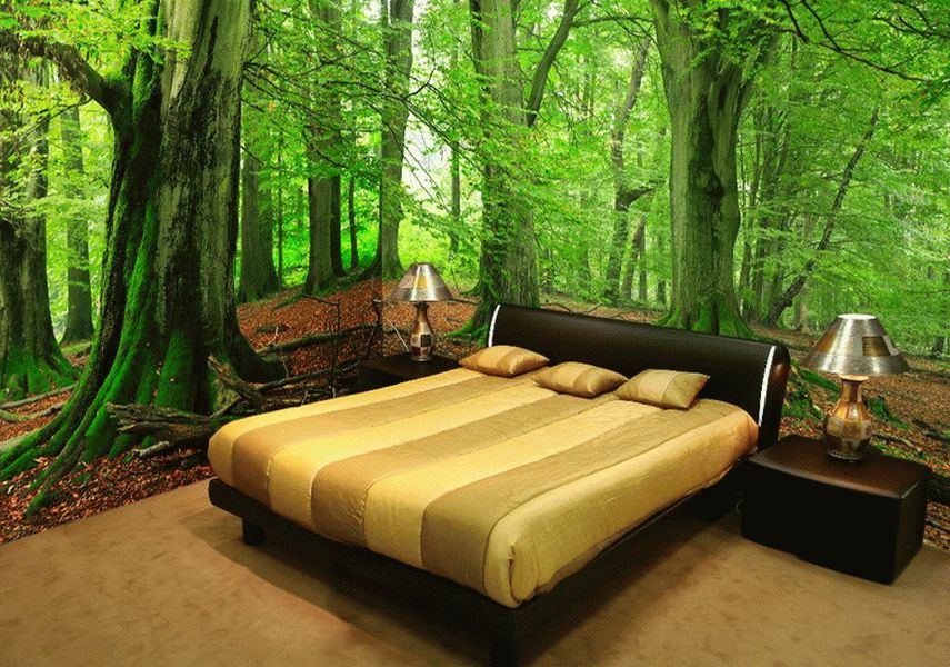 Фотообои в спальне Фотообои в спальне зрительно расширяют пространство