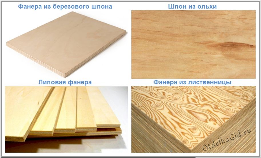 Породы дерева, используемые для нарезки шпона