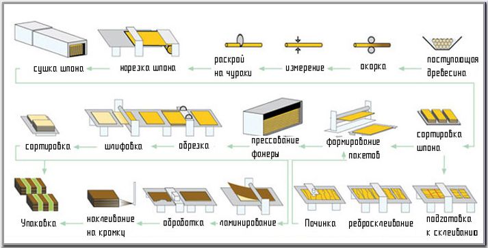 Стандартная схема производства фанеры