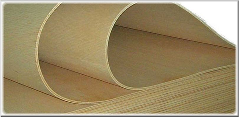 Гибкие листы сейба