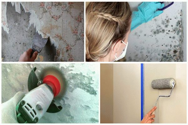 Этапы подготовки поверхности Этапы подготовки поверхности