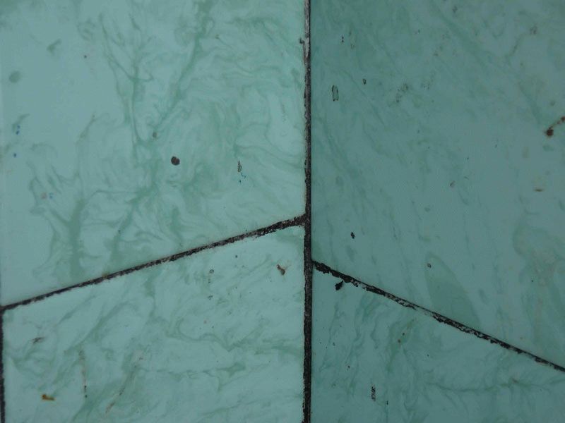 Грибок в ванной комнате Грибок в ванной комнате