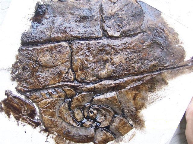 Окрашивание камня морилкой Окрашивание искусственного камня морилкой для дерева