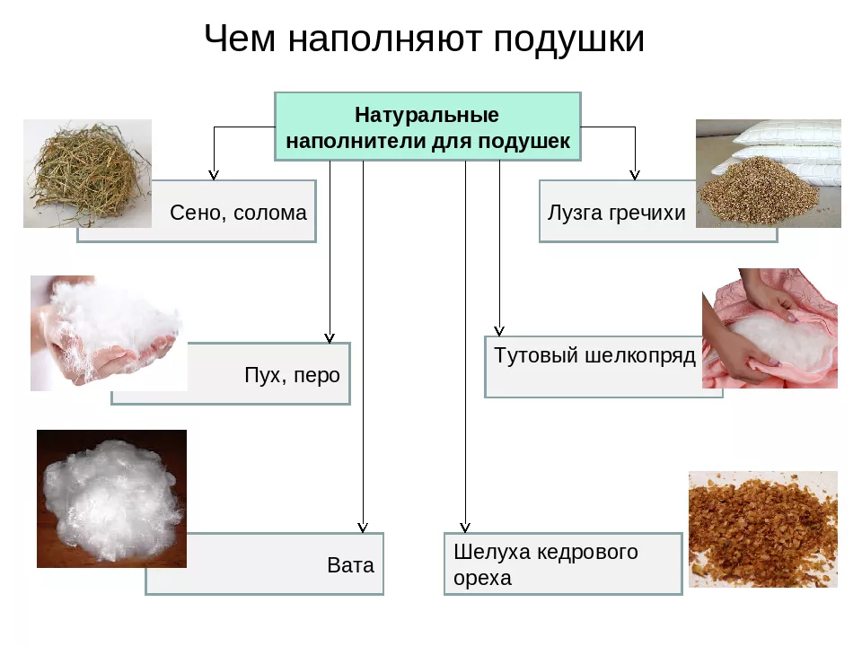 Какой наполнитель для подушек лучше: как правильно выбрать, советы