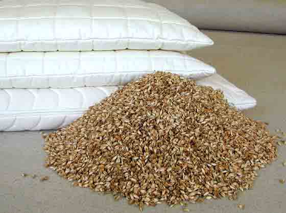 Растительные наполнители для подушек